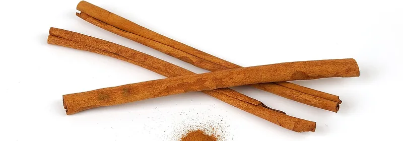 Экстракт корицы цейлонской